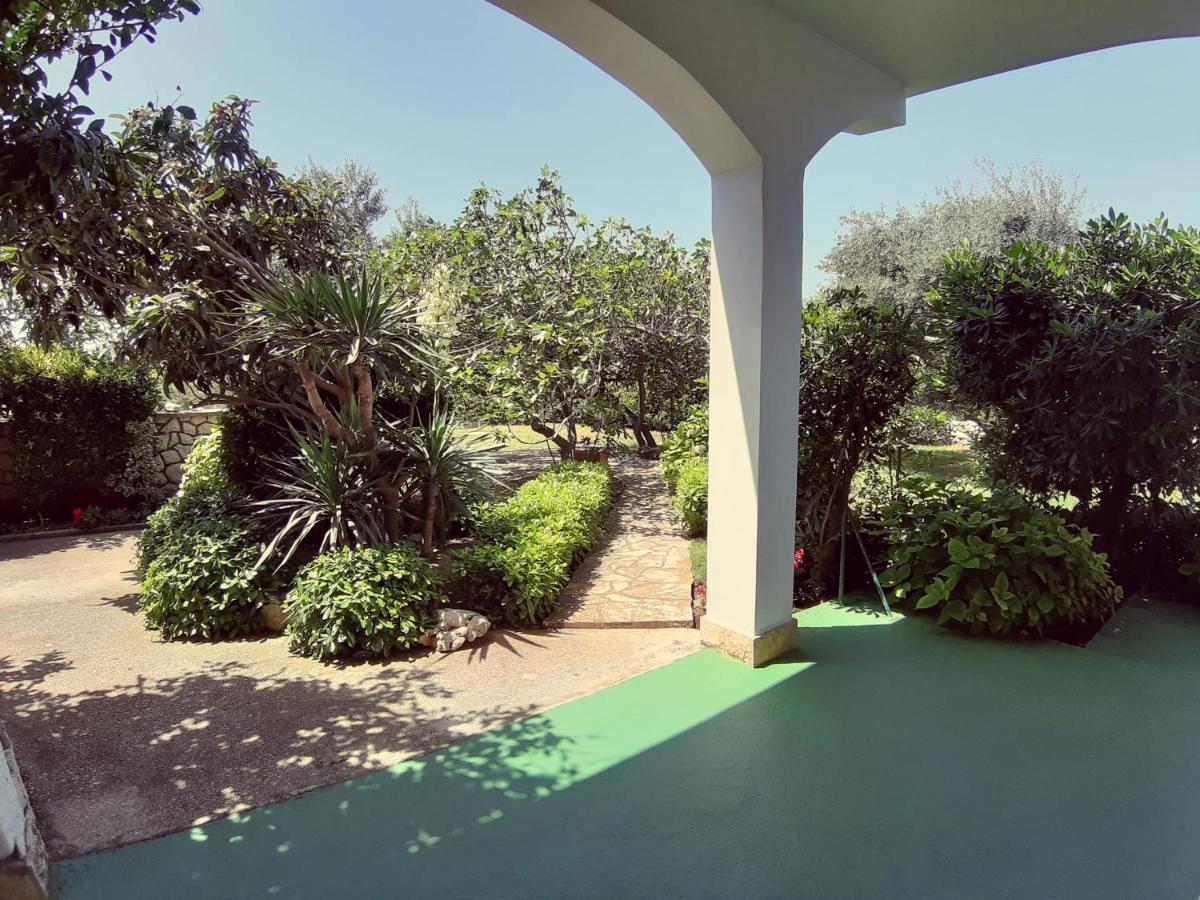Bed and Breakfast F• R• I• E• N• D• S• Novaglia Esterno foto